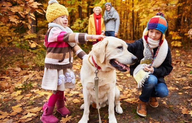 Kids stroking their lovely pet